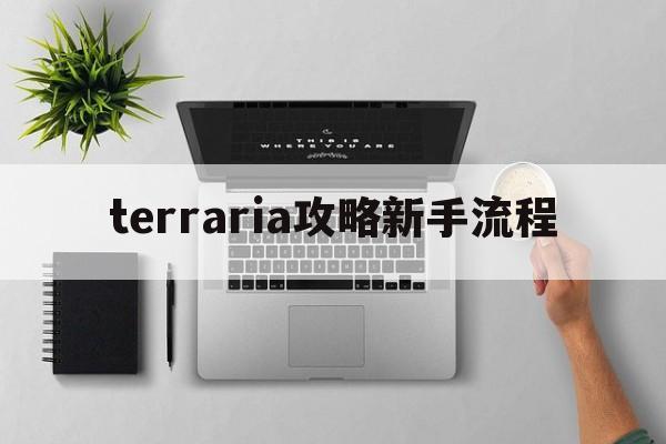 terraria攻略新手流程