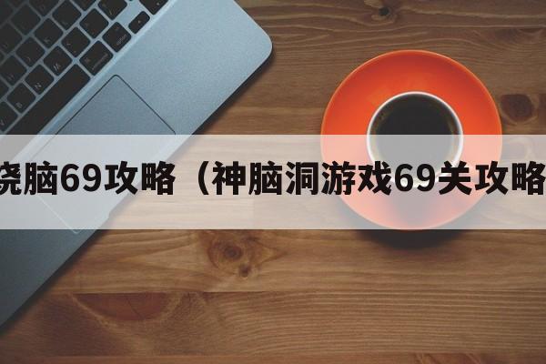 烧脑69攻略（神脑洞游戏69关攻略）