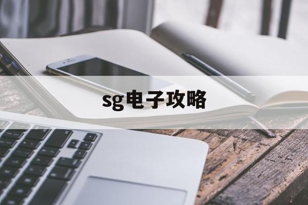 sg电子攻略