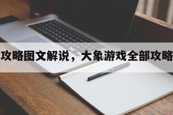 大象游戏全部攻略图文解说，大象游戏全部攻略图文解说视频