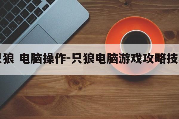 只狼 电脑操作-只狼电脑游戏攻略技巧