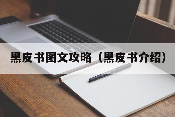 黑皮书图文攻略（黑皮书介绍）