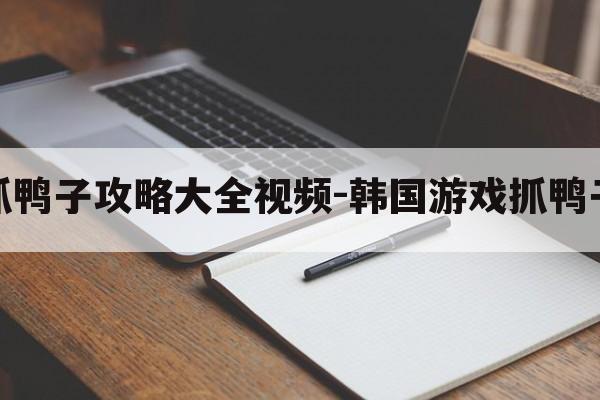 韩国游戏抓鸭子攻略大全视频-韩国游戏抓鸭子攻略大全