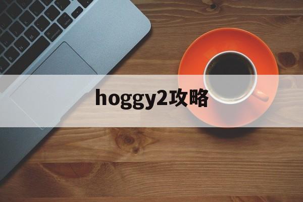 hoggy2攻略