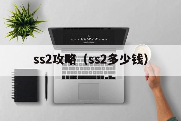 ss2攻略（ss2多少钱）